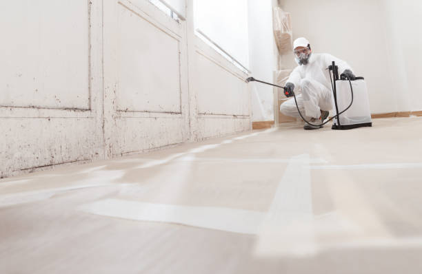 24/7 Emergency Basement Mold Removal experts in Norcross, GA