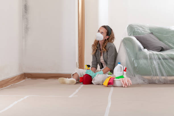 Reliable Basement Mold Removal contractor in Norcross, GA by WQB Mold Removal